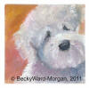 Poodle Oil Painting